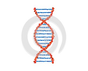 DNA spiral isolated. Vector deoxyribonucleic acid gene part model. Simple microbiological genetic helix structure on