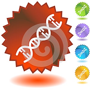 DNA Strand photo