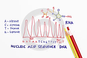 DNA strand photo