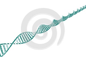 DNA strand photo