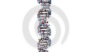 DNA strand