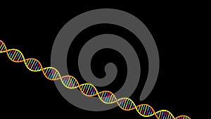 DNA Strand