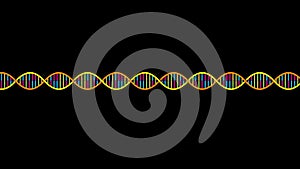 DNA Strand