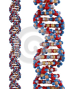 DNA strand photo