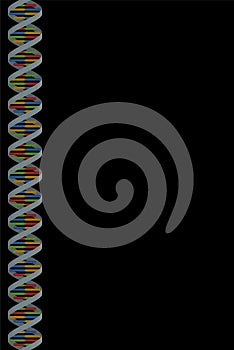 DNA Strand Extendible Double Helix Scroll Down