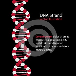 DNA Strand, genetic code