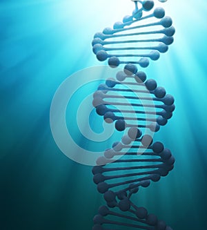 DNA strand model