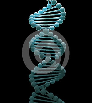 DNA strand model