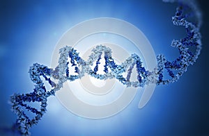 DNA strand model