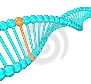 DNA Strand with One Unique Helix