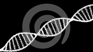 DNA strand. White helix human DNA structure. White color dna model isolated on black background
