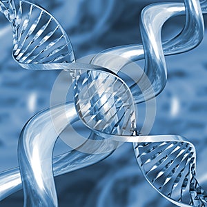 DNA strands photo