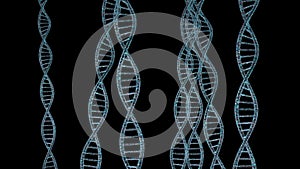 DNA Strands