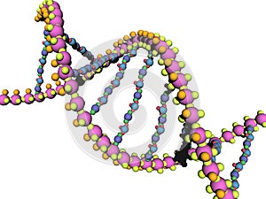 DNA strands of genetic material twisted