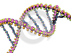 DNA strands of genetic material twisted