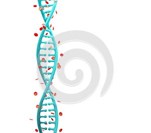 Dna Strands with Hemoglobin on white background