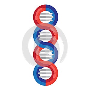 DNA strands molecule vector illustration. Spiral genetic dna medical icon. Helix structure symbol. DNA strands Magnification