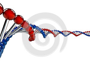 DNA Strands over white background