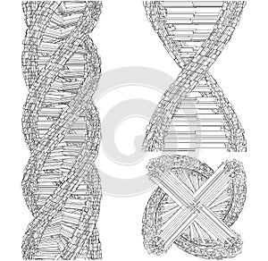 DNA String Futuristic Megalopolis Vector