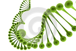 DNA structure