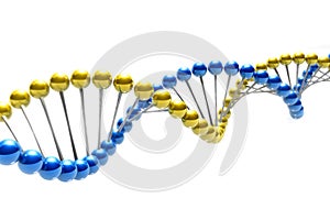 DNA structure