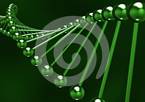 DNA Structure