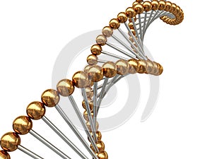 Dna structure