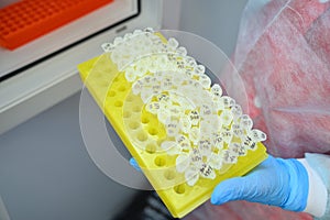 Dna test in the lab. Test tubes with biomaterials in the hands of a laboratory assistant