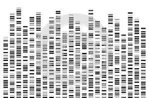 DNA Test White Background Genome Sequence Map Barcoding