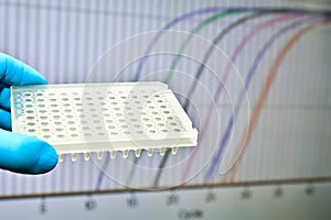 DNA testing by the Real Time PCR method.