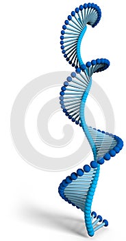 DNA is a thread-like chain of nucleotides carrying the genetic instructions used in the growth, development, functioning a