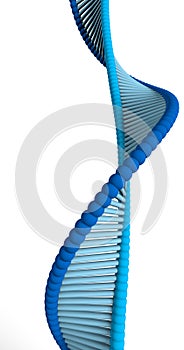 DNA is a thread-like chain of nucleotides carrying the genetic instructions used in the growth, development, functioning a