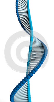 DNA is a thread-like chain of nucleotides carrying the genetic instructions used in the growth, development, functioning a