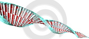 DNA is a thread-like chain of nucleotides carrying the genetic instructions used in the growth, development, functioning a