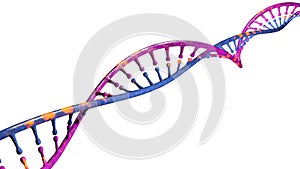 DNA is a thread-like chain of nucleotides carrying the genetic instructions used in the growth, development, functioning a