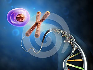 From Dna to cell photo