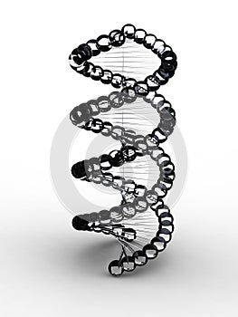DNA, transparent design photo