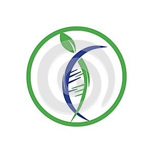 DNA tree vector logo design. DNA with green leaves vector logo design.
