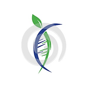 DNA tree vector logo design. DNA with green leaves vector logo design.