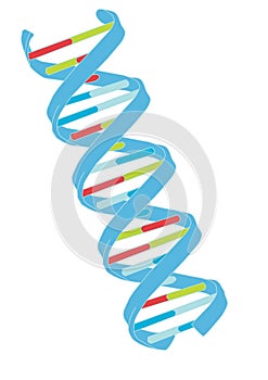 DNA vector