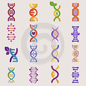 DNA vector genetic sign with genome or gene in biology medical research and DNAse or DNAbinding structure illustration