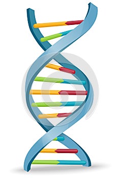 DNA