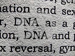 DNA word write up on a paper macro photography