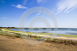 Dniester estuary