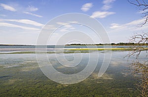 Dniester estuary