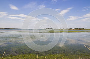 Dniester estuary