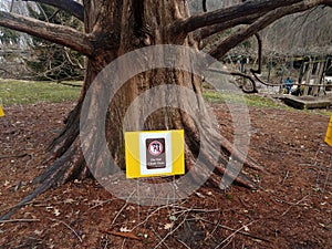 do not climb trees sign and tree outdoor