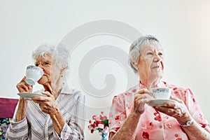 Do not disturb, teatime in process. two elderly women having tea together at home.