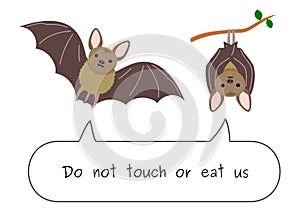 Do not eat or touch bats photo