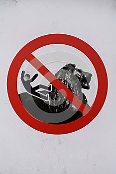 Do not fall off a lion sign